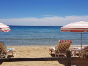 Appartement T3 climatisé avec jardin et terrasse à 200m de la plage de Cavalaire - FR-1-100-249